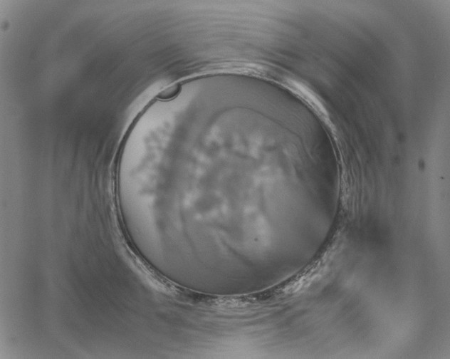 X0000067890907200604201306