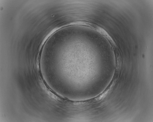 X0000067890908200604201306