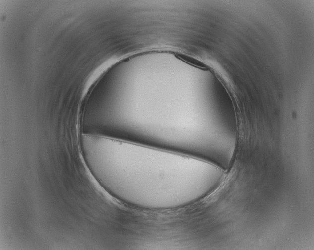 X0000067890910200604201306