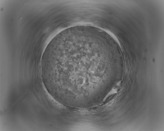 X0000067890911200604201306