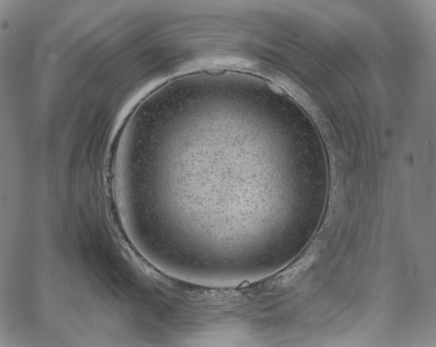 X0000067890912200604201306