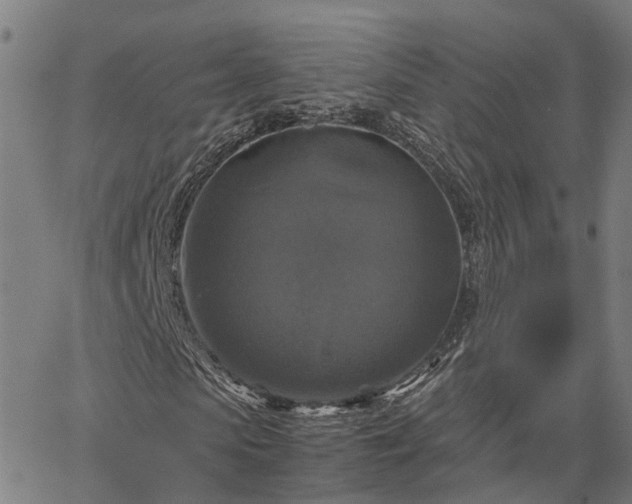 X0000067890913200604201305