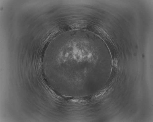 X0000067890915200604201305