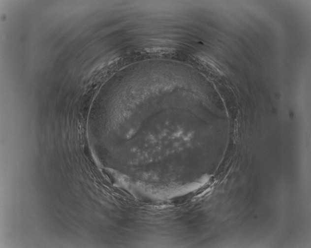 X0000067890917200604201305