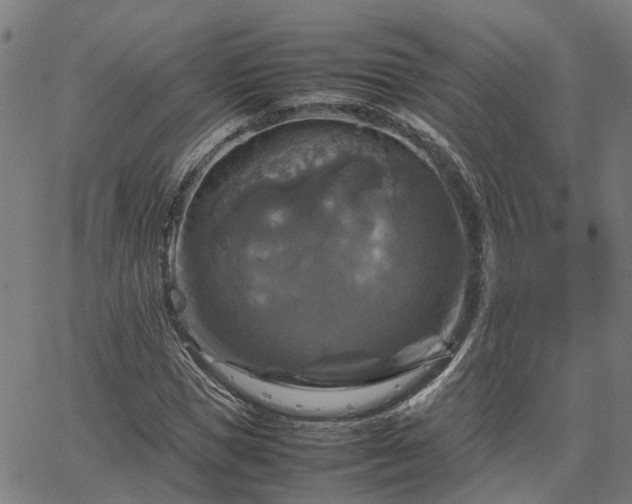 X0000067890921200604201305