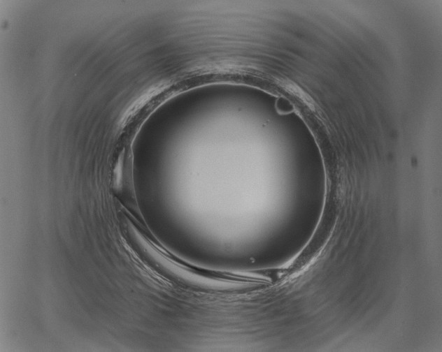 X0000067890922200604201305