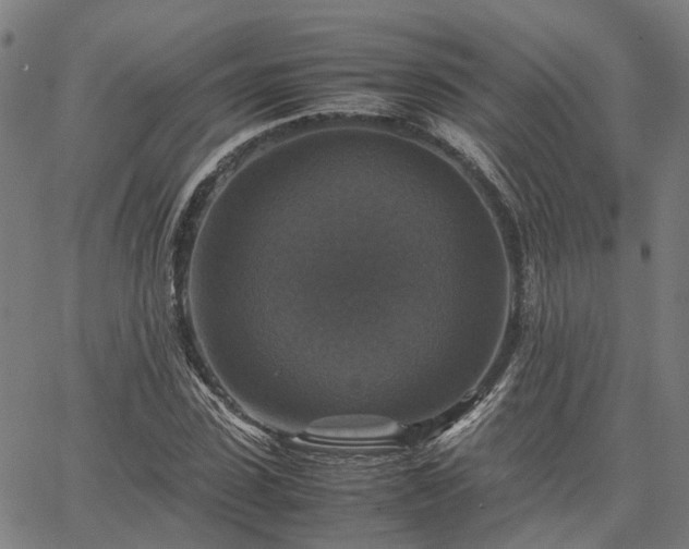 X0000067890923200604201305