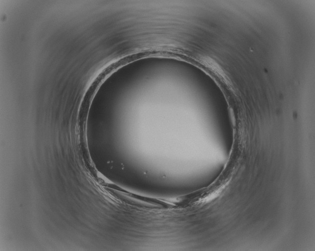 X0000067890924200604201305