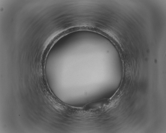 X0000067890927200604201305