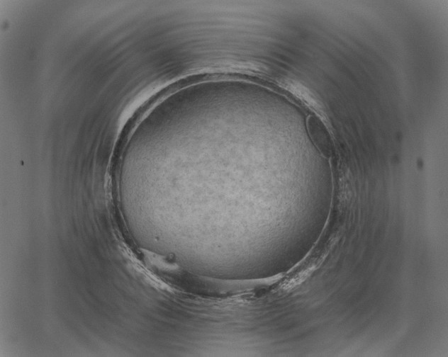 X0000067890928200604201305