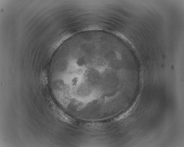 X0000067890929200604201305