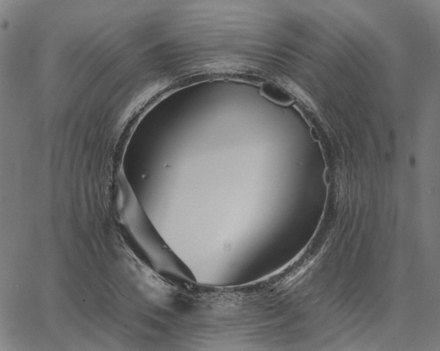 X0000067890930200604201305