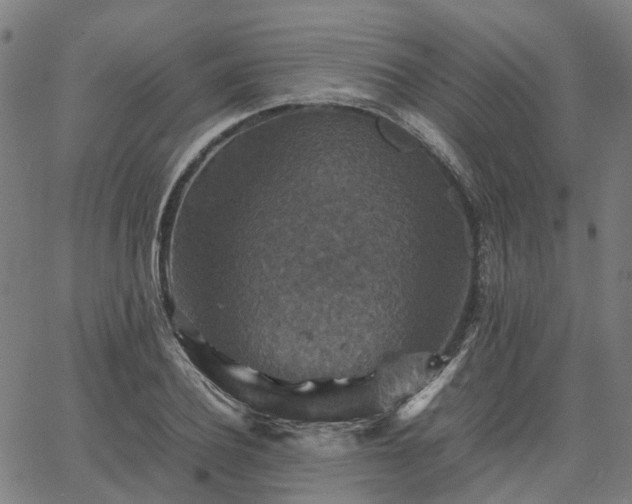 X0000067890932200604201305