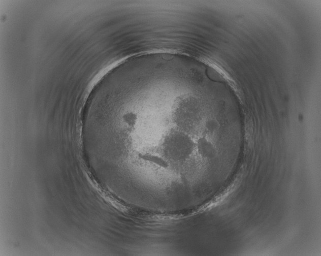 X0000067890933200604201305