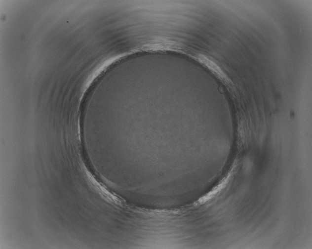 X0000067890934200604201305