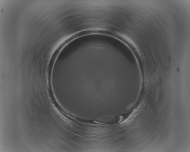 X0000067890935200604201305