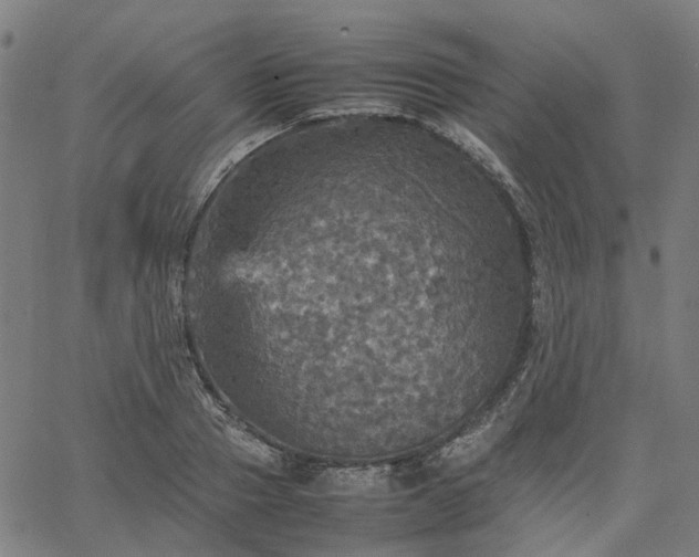 X0000067890937200604201305