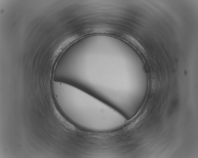 X0000067890938200604201305