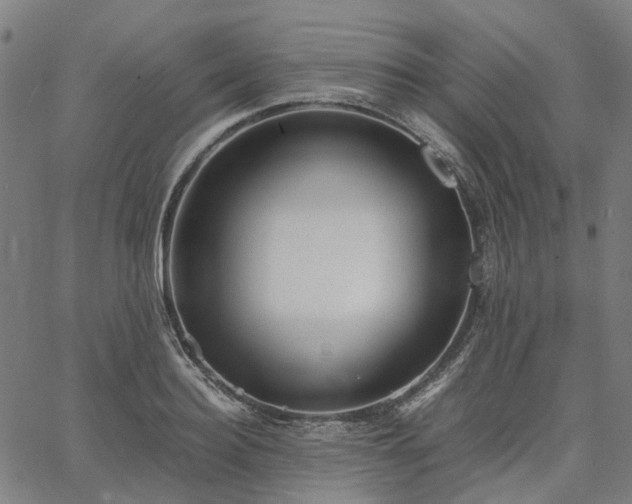 X0000067890940200604201305