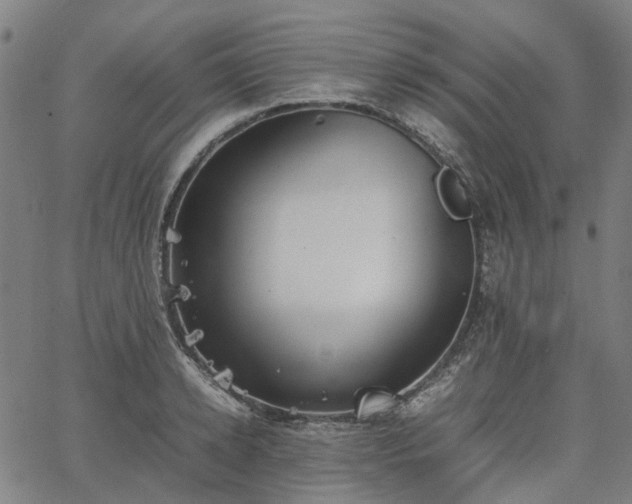 X0000067890942200604201305