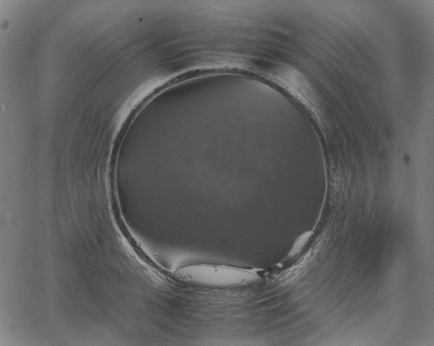 X0000067890943200604201305