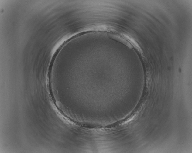 X0000067890944200604201305