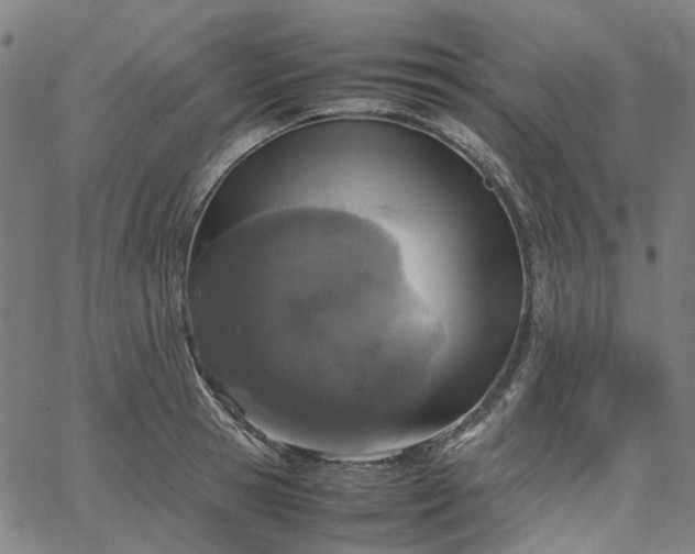 X0000067890945200604201305