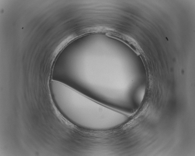 X0000067890946200604201305