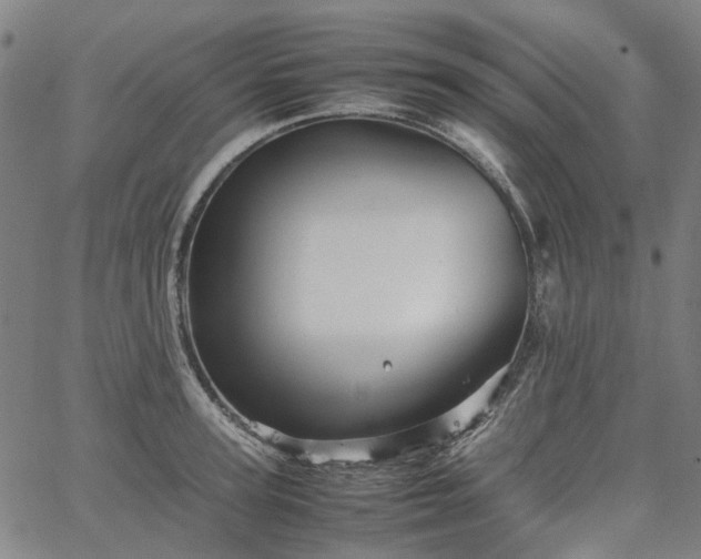 X0000067890947200604201305