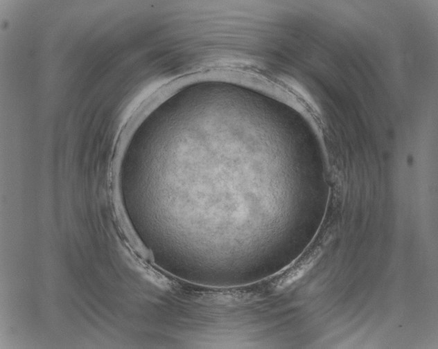 X0000067890948200604201305