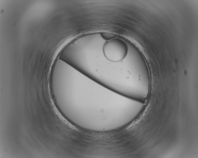 X0000067890949200604201305