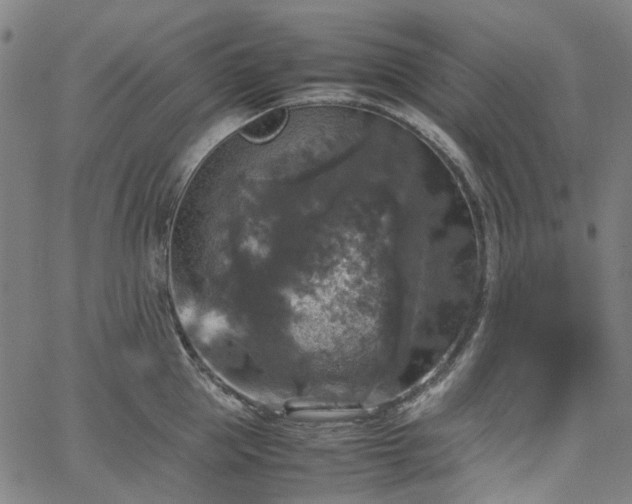 X0000067890953200604201306