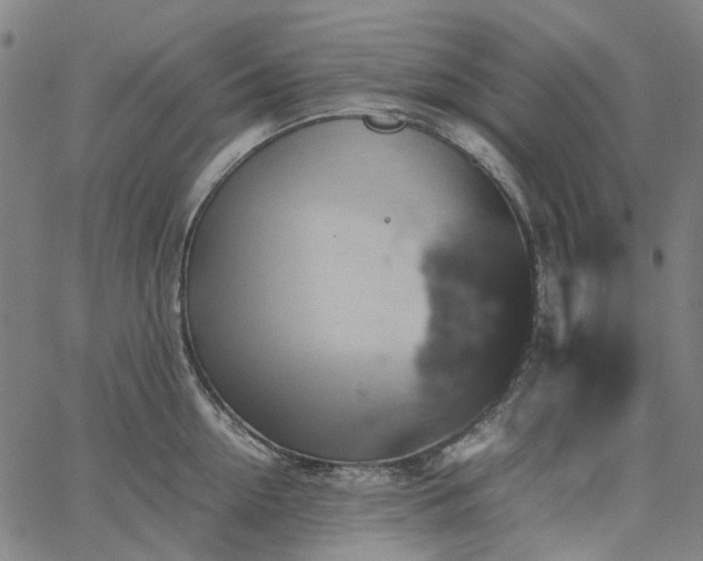 X0000067890954200604201306