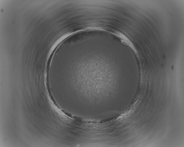 X0000067890955200604201306