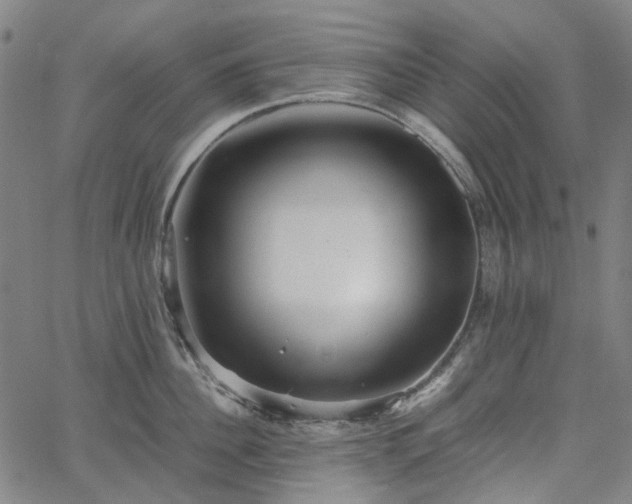 X0000067890956200604201306