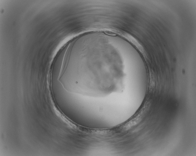 X0000067890958200604201306