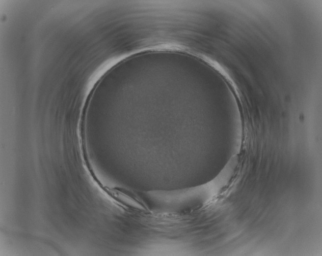 X0000067890959200604201306