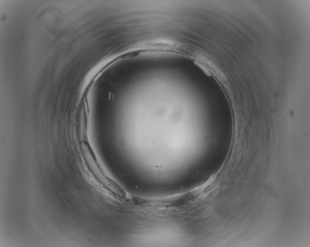 X0000067890960200604201306