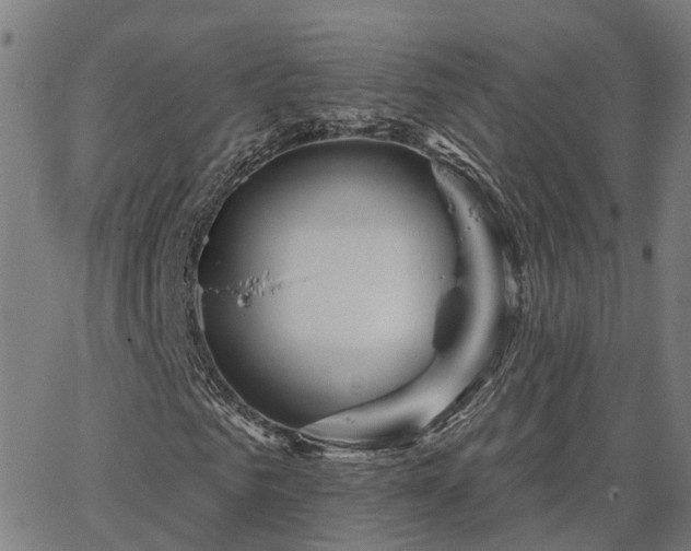 X0000067890961200604201305