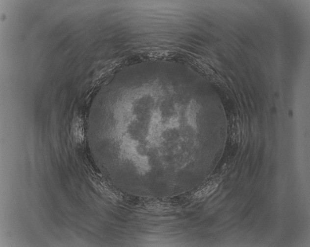 X0000067890962200604201305