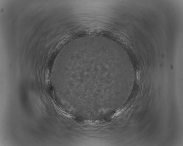 X0000067890963200604201305