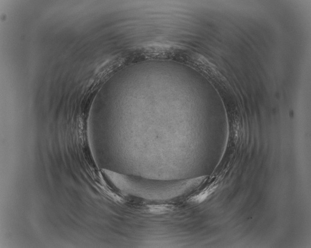 X0000067890964200604201305