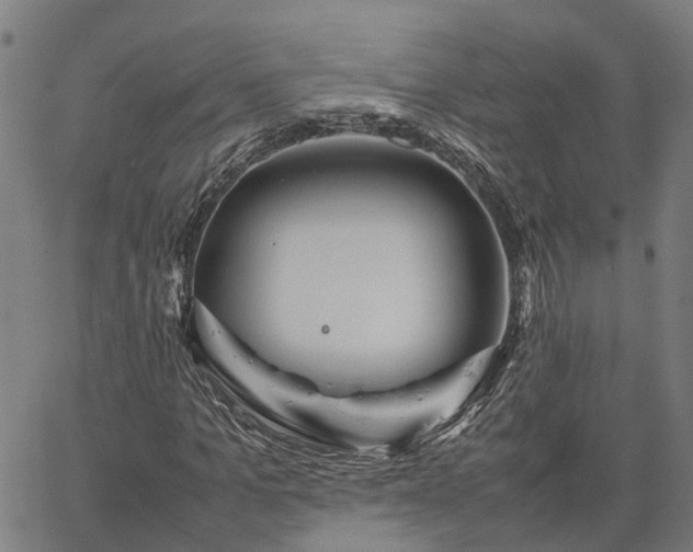 X0000067890965200604201305