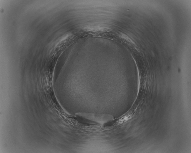 X0000067890966200604201305