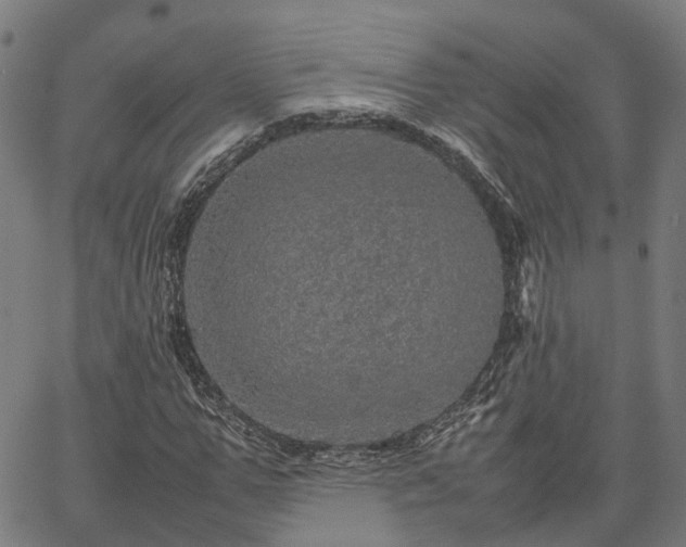 X0000067890967200604201305