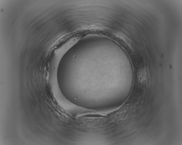 X0000067890968200604201305