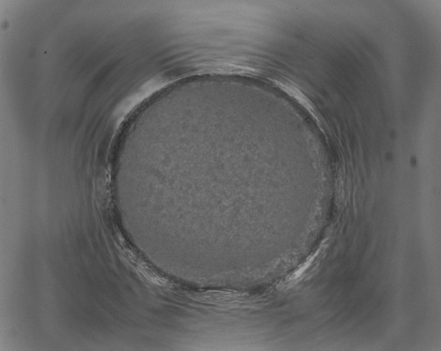 X0000067890971200604201305