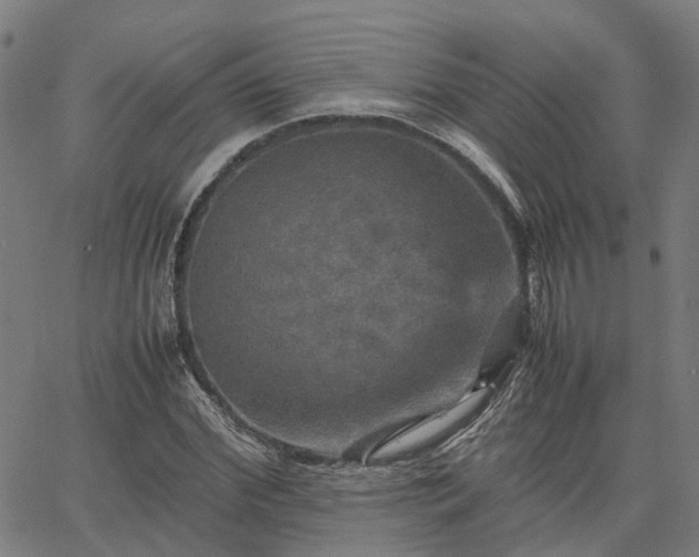 X0000067890972200604201305