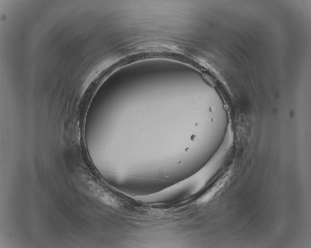 X0000067890973200604201305