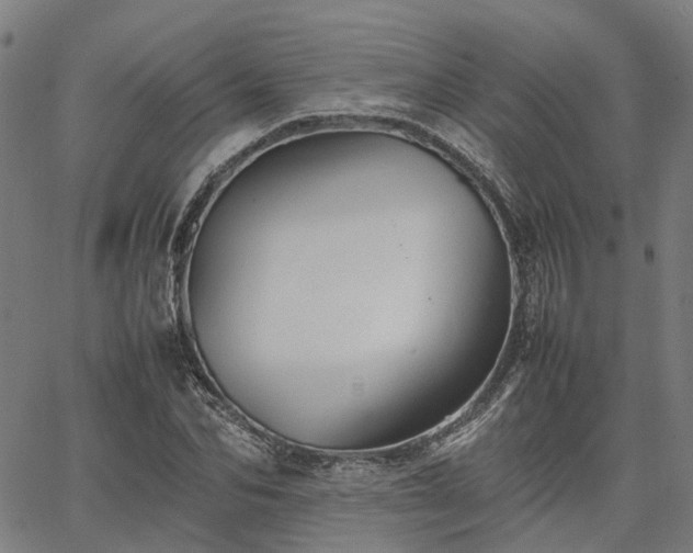 X0000067890974200604201305